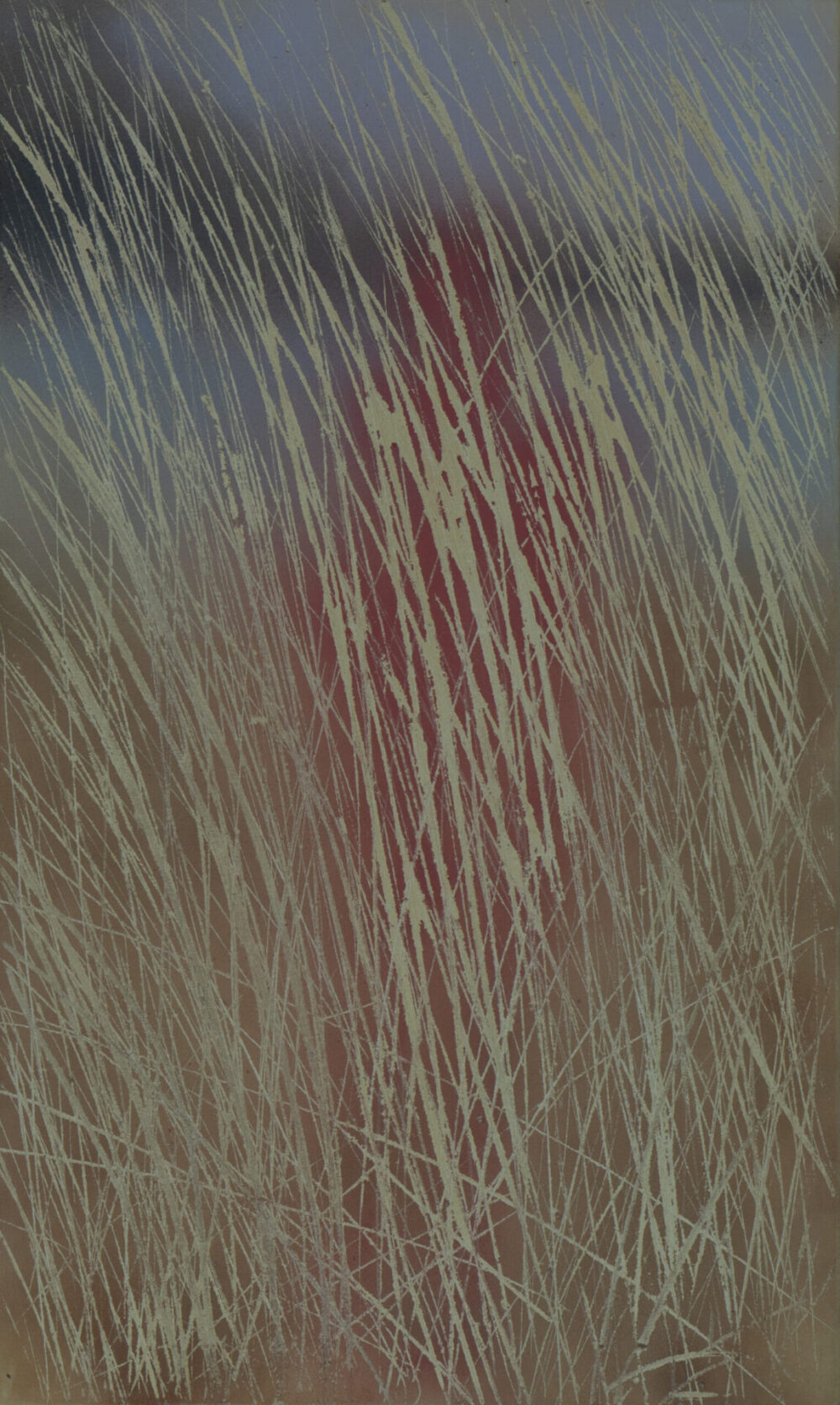 Reeds scaled